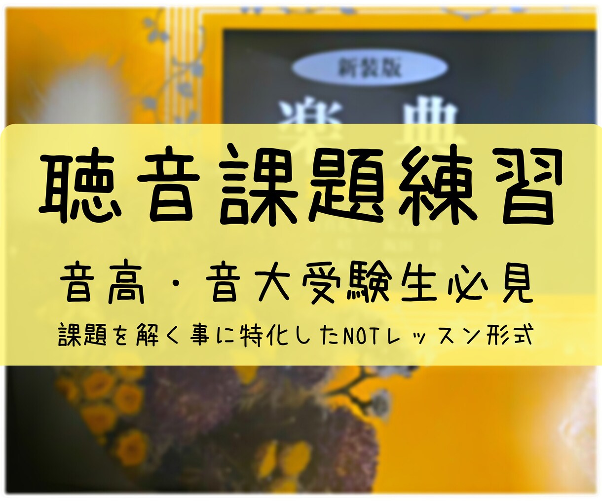 聴音課題の練習をお手伝いします １人では難しい、課題を解くことに特化！音高・音大受験生必見！ イメージ1