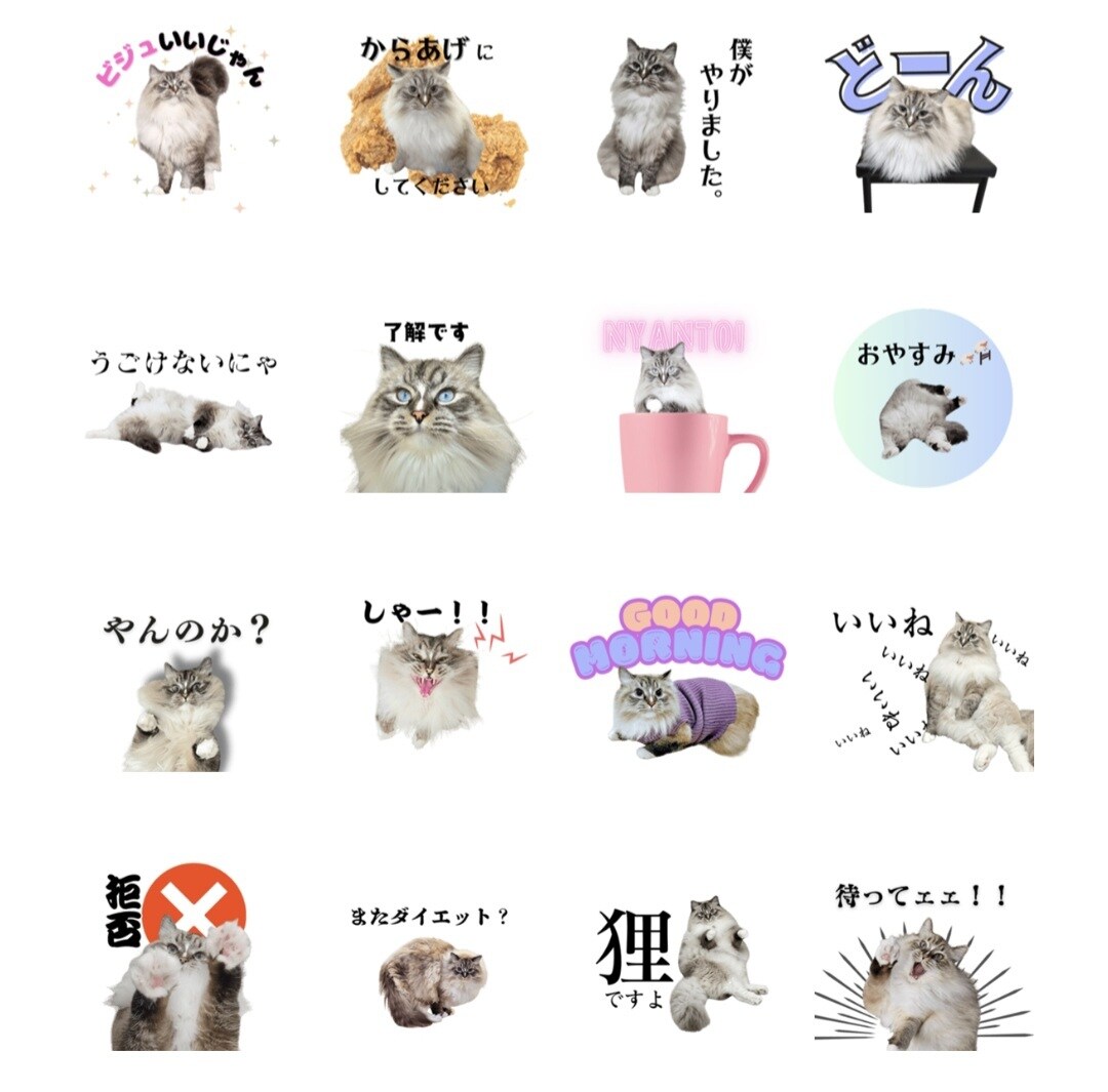 ペットやお子様の写真でLINEスタンプ作ります ★24個3,000円★お気に入りの写真をスタンプに イメージ1