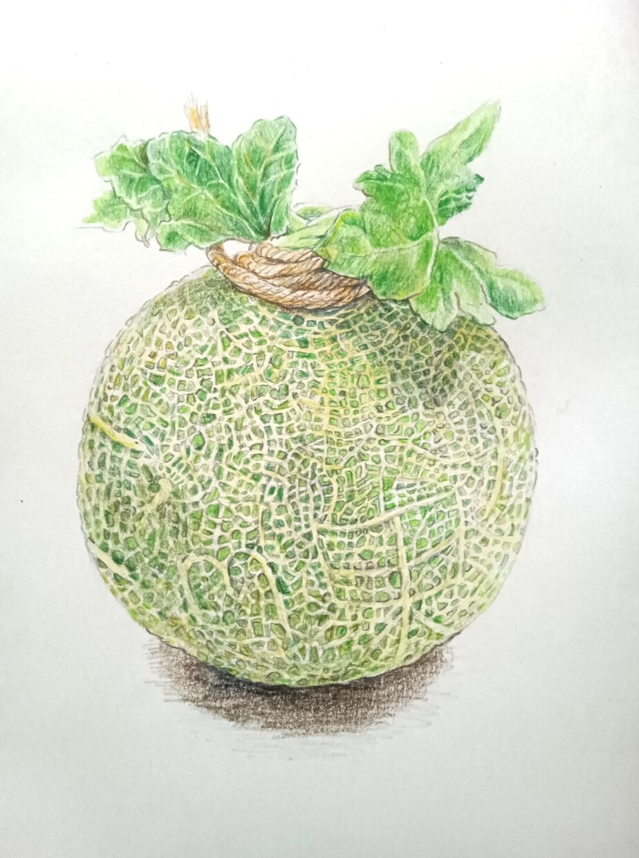 リアルな、色鮮やかなイラストお描きします パッケージ、挿絵、商品説明イラストに。 イメージ1