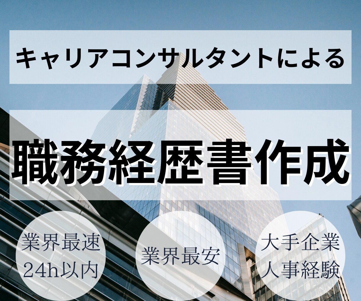 大手企業の人事が職務経歴書をゼロから作成します あなたの情報を元に現役人事が職務経歴書を作ります！ イメージ1
