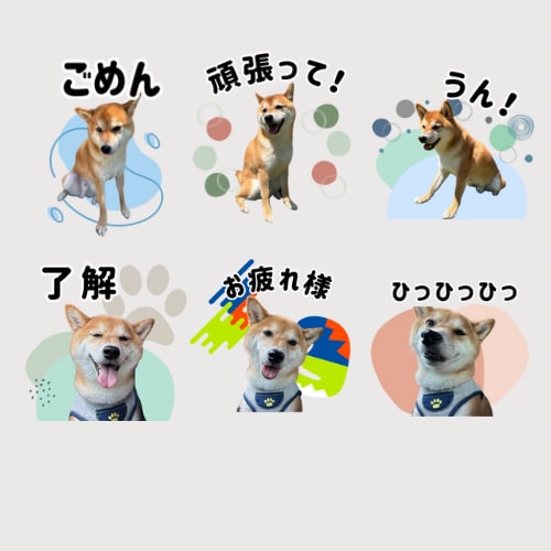 写真からLINEスタンプ作ります ペットやお子様のお写真を普段使いできるスタンプに仕上げます！ イメージ1