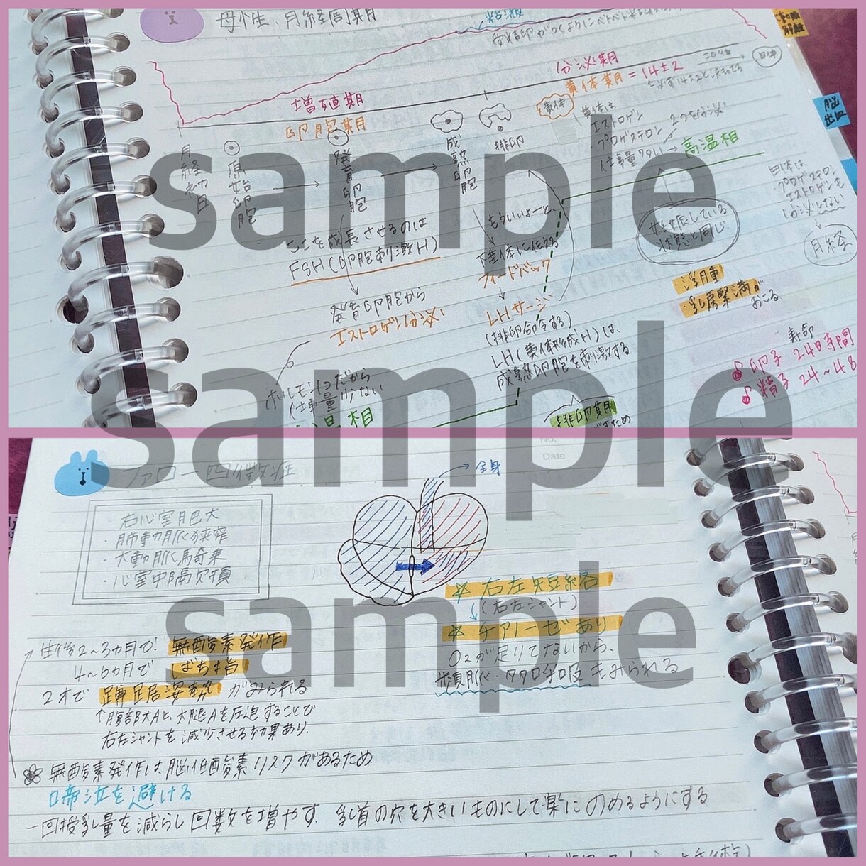 私が勉強した資料を販売致します エビデンスやイラスト付き☻☺︎分かりやすい！点数アップ！ イメージ2