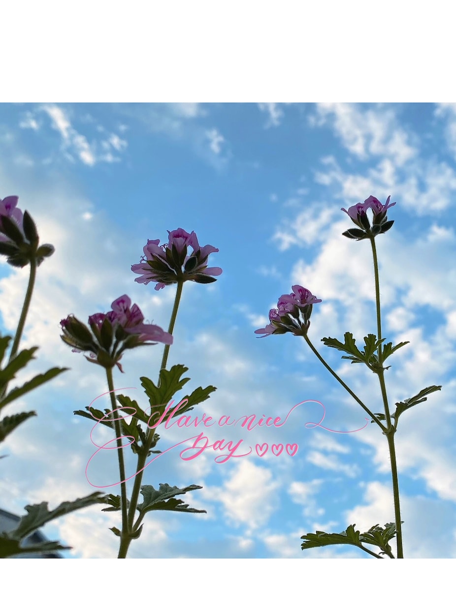 写真をアートに！手書きカリグラフィー文字入れします SNSやHPに！好きな英語を紡ぐ手書き文字データで納品 イメージ3