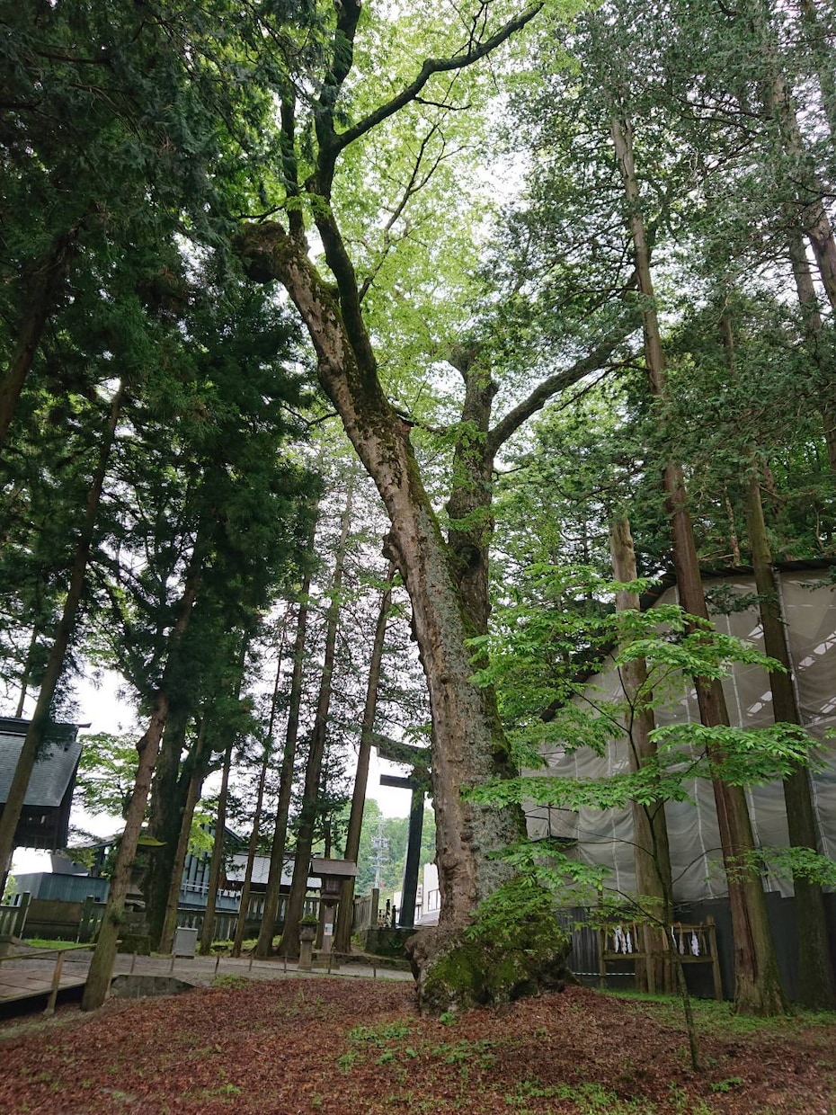 こんな世の中だからこそ、人との繋がりに貢献します 土日ならいつでもあなたの時間に合わせます！ イメージ1