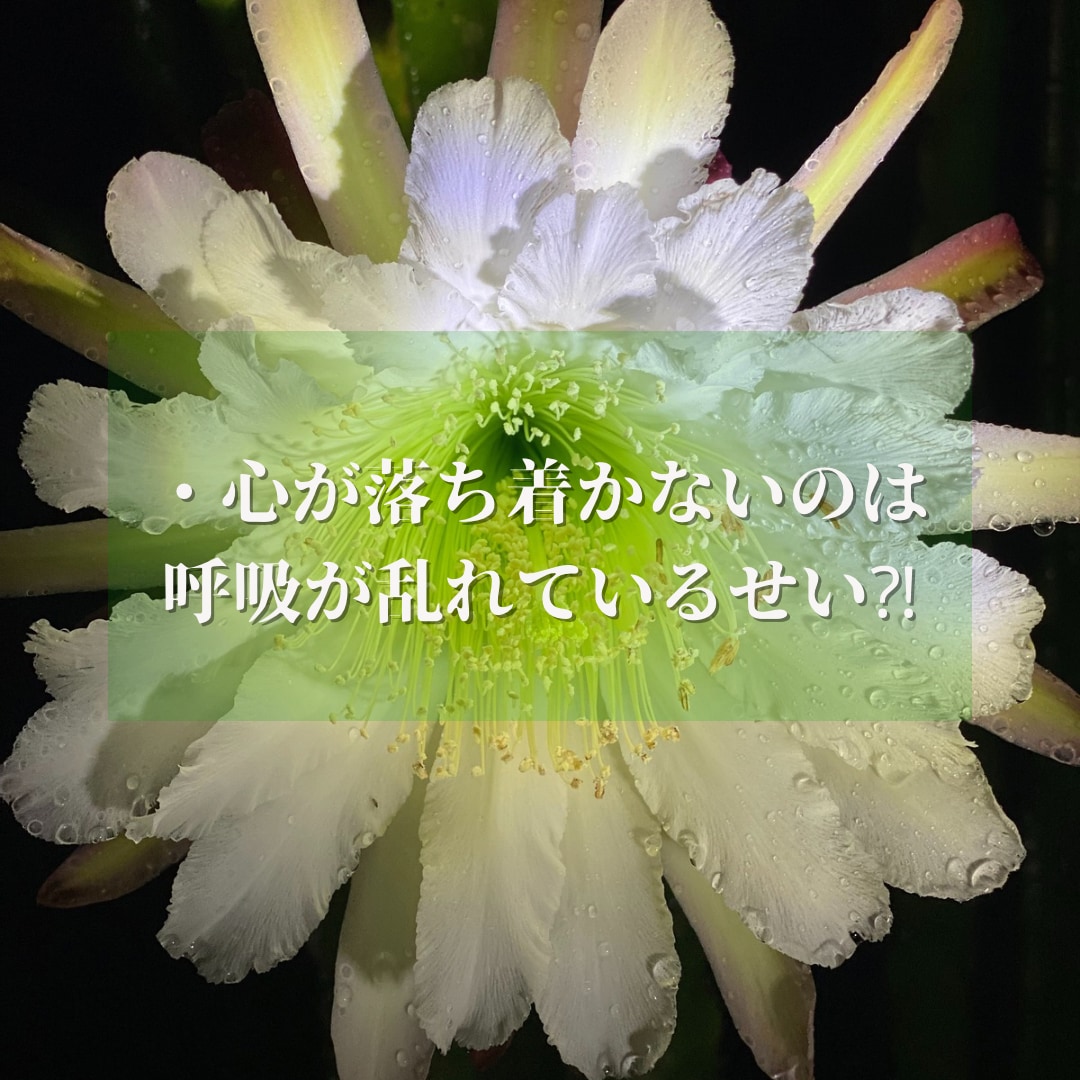 潜在意識に深く入るヨガ＆ヒプノセラピーで解決します 心身バランス整え相乗効果！直感☆集中力＆洞察力UP《４時間》 イメージ5