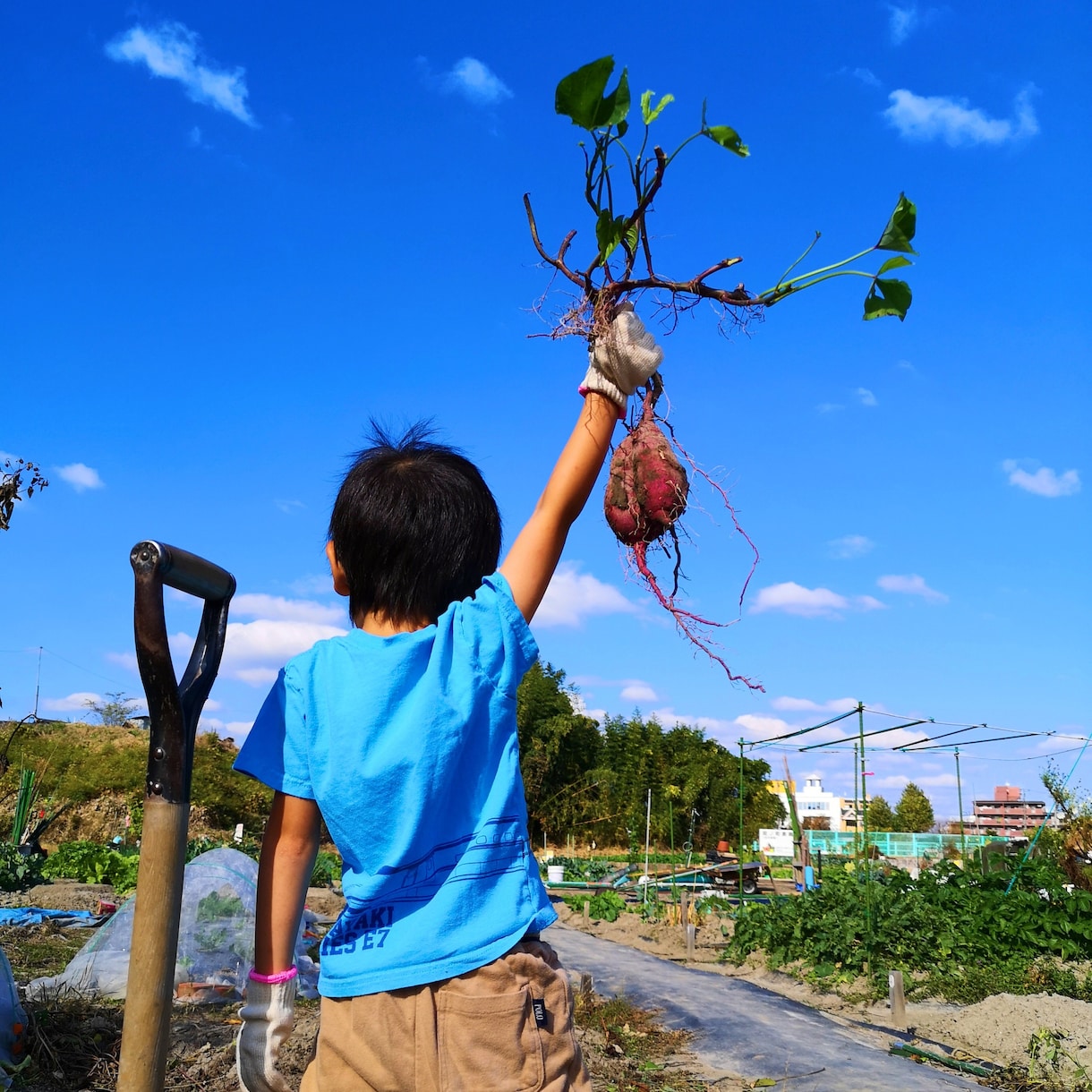 家庭菜園の本格土作りを徹底サポートします 丁寧で分かりやすく、音声による相談も対応可 イメージ7