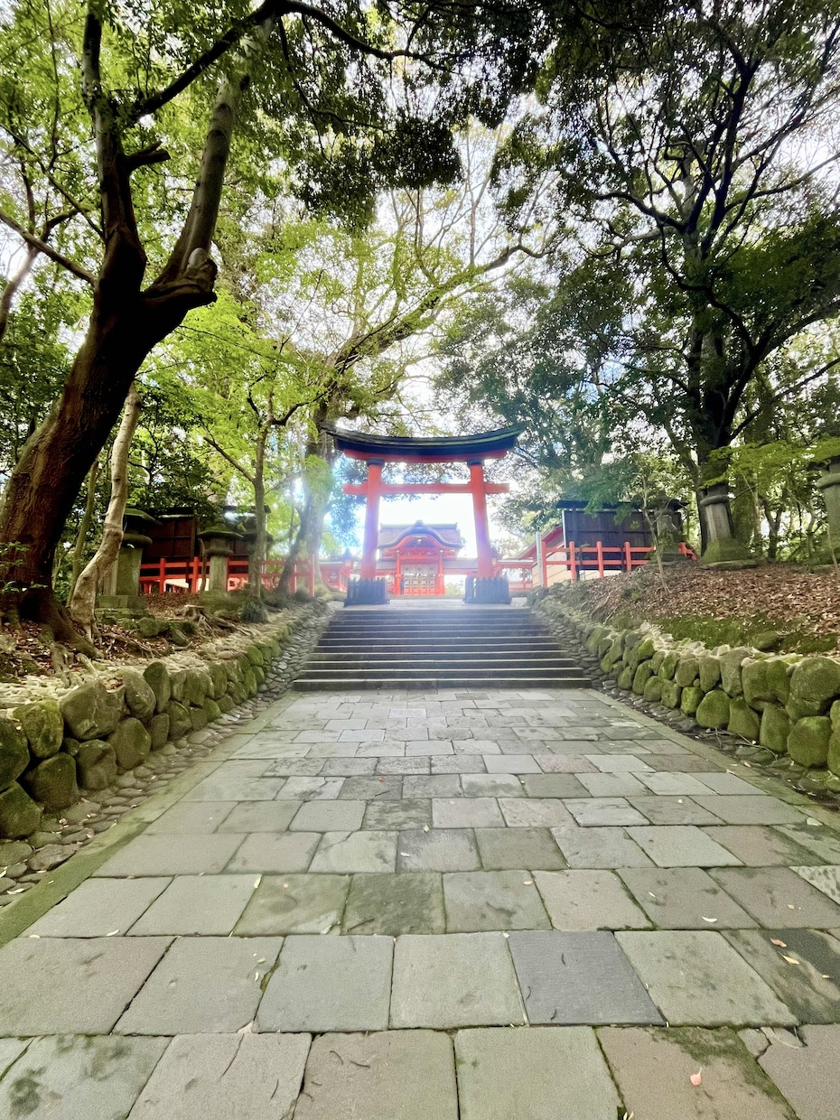 モヤモヤを祓ってエネルギー浄化させていただきます 開運のコツは浄化にあり⭐︎みなさまのエネルギー補給場♡ イメージ5