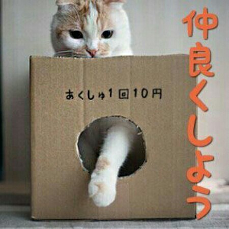 哲学的、心理的観点からどんな疑問にもお答えします 身の回りにあるなぜ？に答えます。 イメージ1