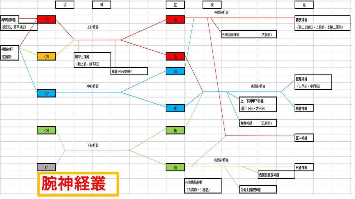 多くの方が悩んでいる神経痛に関してお伝えします 痺れる・だるい・力が入らない、それだけが神経痛ではない！ イメージ8