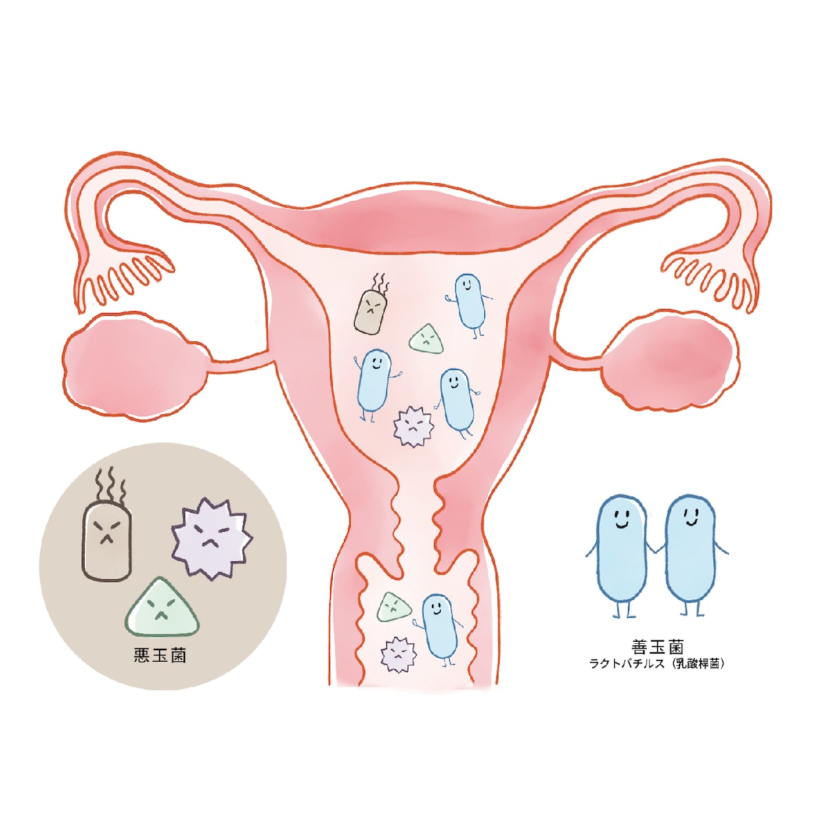 使いやすく分かりやすい！カラダのイラスト作成します 医療・健康系WEB・書籍に！わかりやすく説明をサポートします イメージ10
