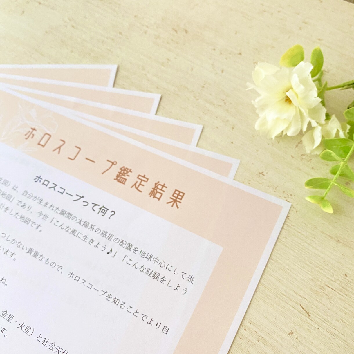 西洋×宿曜で出生ホロスコープを紐解きます 10個の天体、宿曜からあなただけの可能性をお伝えします イメージ3