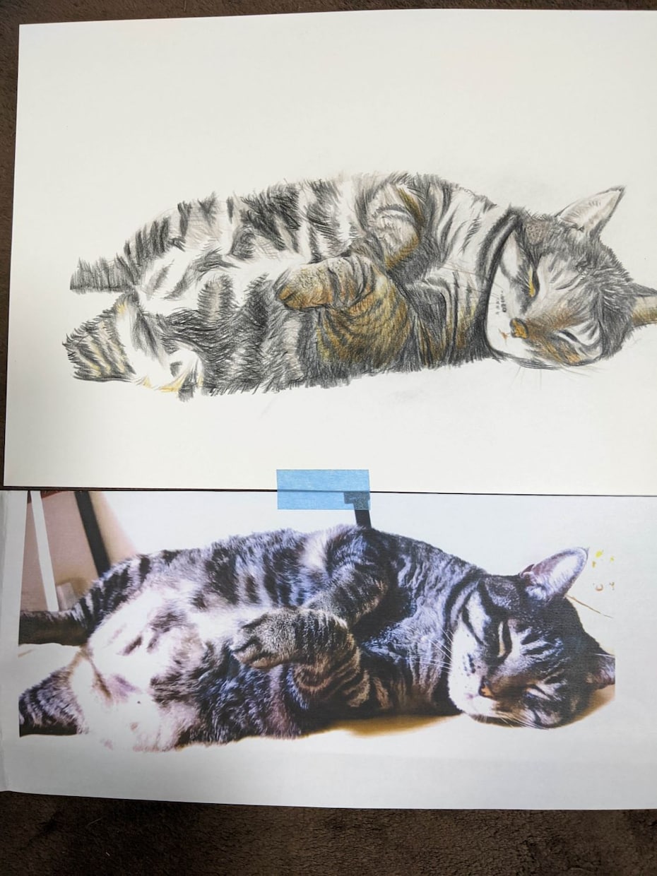 猫の似顔絵描きます 色鉛筆画で写真そっくりに描きます。 イメージ8