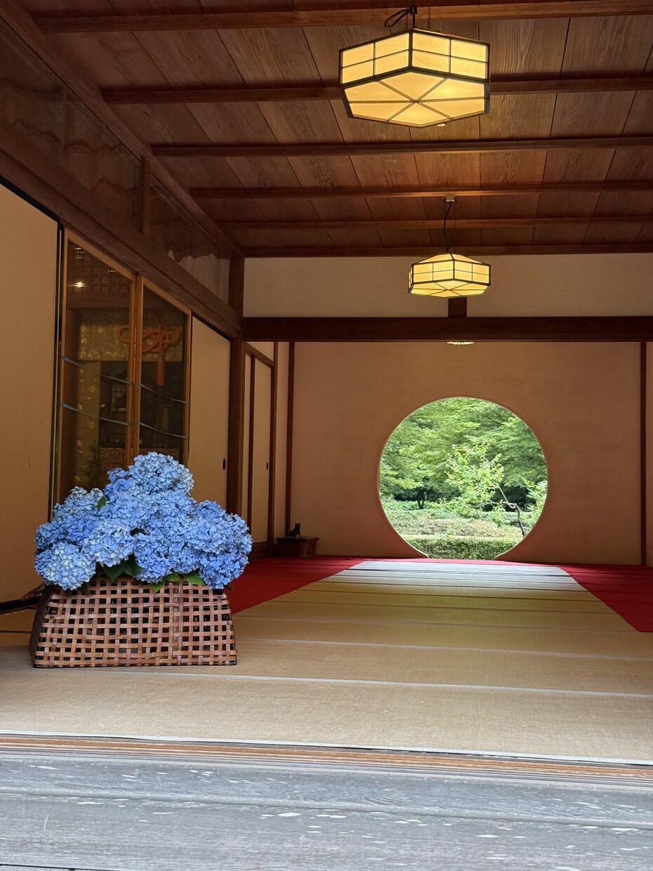 あなたにぴったりの旅行プラン、一緒に考えます 行き先が決まってなくてもOK！旅行好きと一緒に楽しく旅計画 イメージ3
