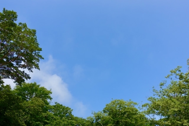 行き渋り・不登校・発達の悩み今の悩みを整理します 1人で悩まなくて大丈夫！子どもの発達相談歴17年の心理士相談 イメージ2