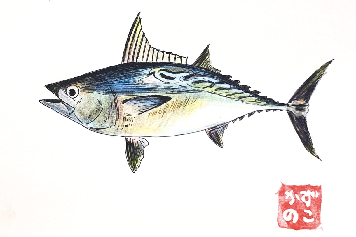 お魚のイラスト描きます どんな魚種もご相談ください！ポストカード販売もしています。 イメージ4
