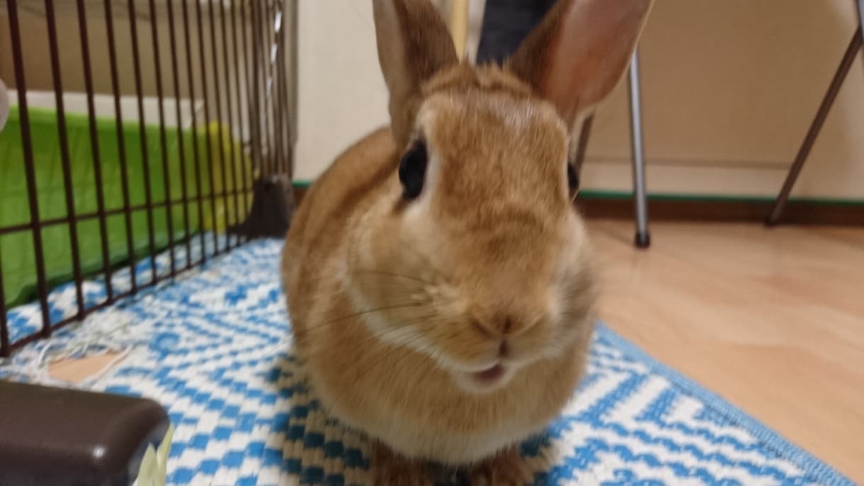 ノリツッコミ、おしえます。 イメージ1