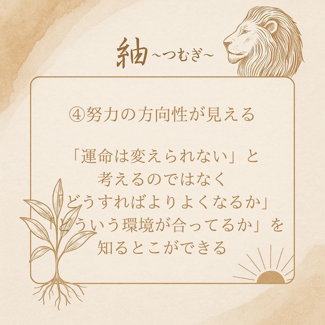 四柱推命であなたの本質と運気を鑑定します 生年月日と出生時間で丁寧に読み解きます✨️ イメージ8