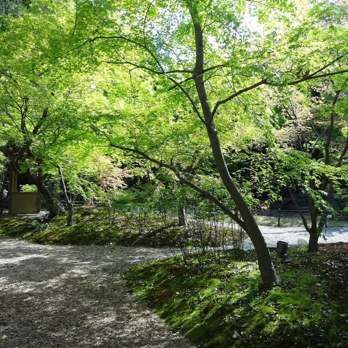 毎日優しく過ごせる5つのコツ教えます 毎日イライラピリピリしてしまっているあなたに イメージ1