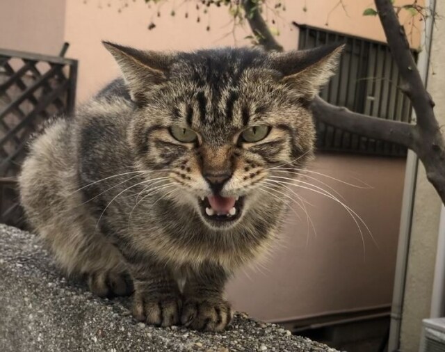 あなたは悪くありません。仕事のお悩みお聞きます 覚えが悪い、ミスばかりするのは教え方に問題があるからです イメージ3