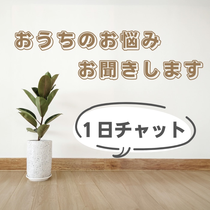 １日相談☆片付けのお悩み、お聞きします 片付けたいけど踏み出せない、そんなあなたの背中を押します イメージ1