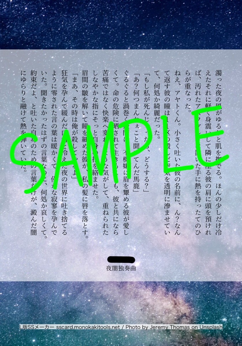夢小説オーダー/小説オーダー承ります 夢小説から創作小説まで、幅広くご希望に応えます！ イメージ5