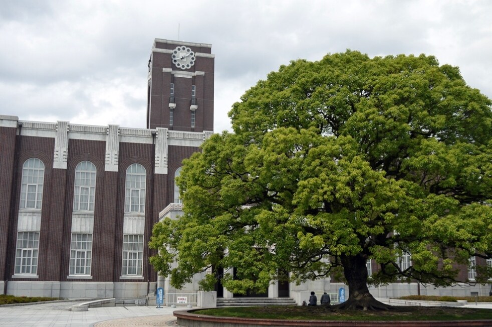 受験は個人戦！京大生が効率的な勉強法を教えます 名門校じゃなくても、予備校に通ってなくても大丈夫です イメージ1