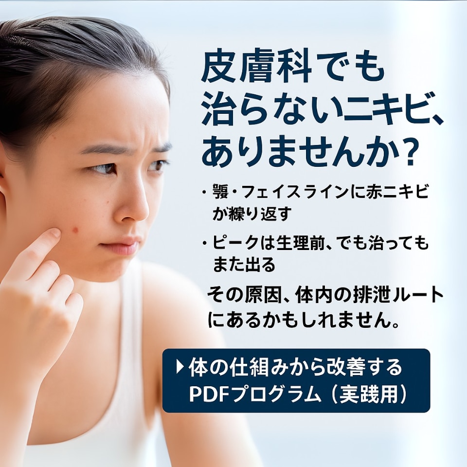 炎症ニキビを体の中から改善します 皮膚科も効かない方のための根本ケア イメージ1