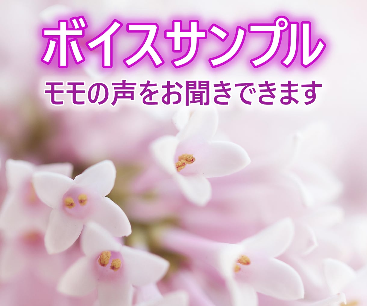 仕事の悩み・愚痴、なんでも聴きます 転職の迷いも、日々の愚痴も、まとめてどうぞ イメージ2