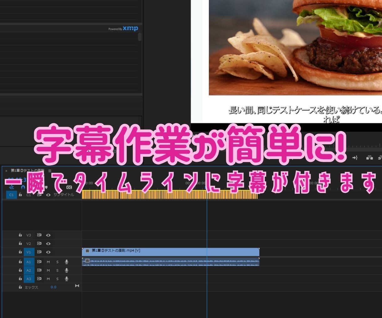 AI+PremireProで自動で字幕作成します YouTubeやTikTok動画の字幕を自動生成！ イメージ3