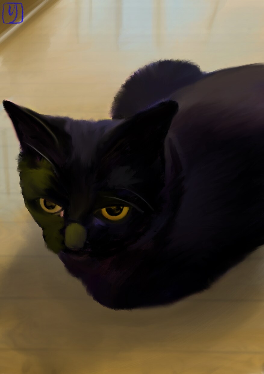 大切なペットのイラストを作成します 写真を形にしませんか？色鮮やかで細かいタッチのイラスト作成 イメージ5