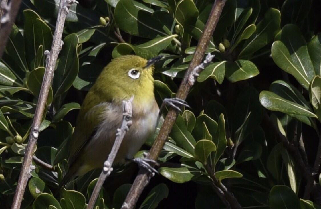 一枚250円であなたが求める写真、提供します 風景写真、鳥、などなど欲しい方リクエストにも応じます！ イメージ1