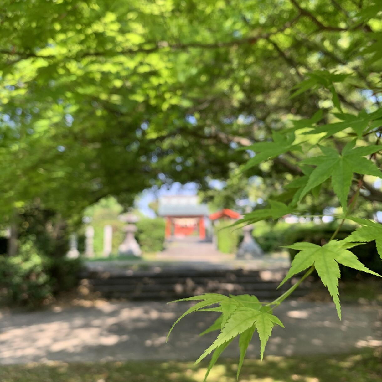 直接対話でスピリチュアルカウンセリングいたします 自分自身で幸せな人生を創る！プロスピリチュアラーとの対話。 イメージ3