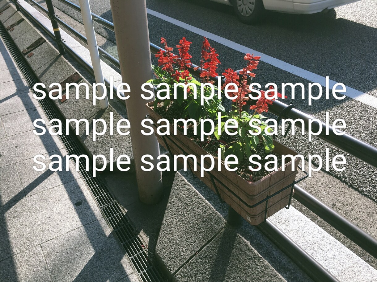 花のスナップ写真を提供します お花をエモく撮った写真集です✾ イメージ3