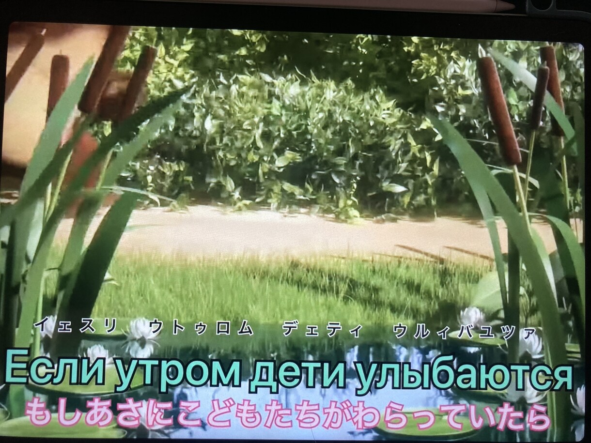 動画にロシア語字幕つけます 英語または日本語の動画にロシア語の字幕をつけます イメージ1