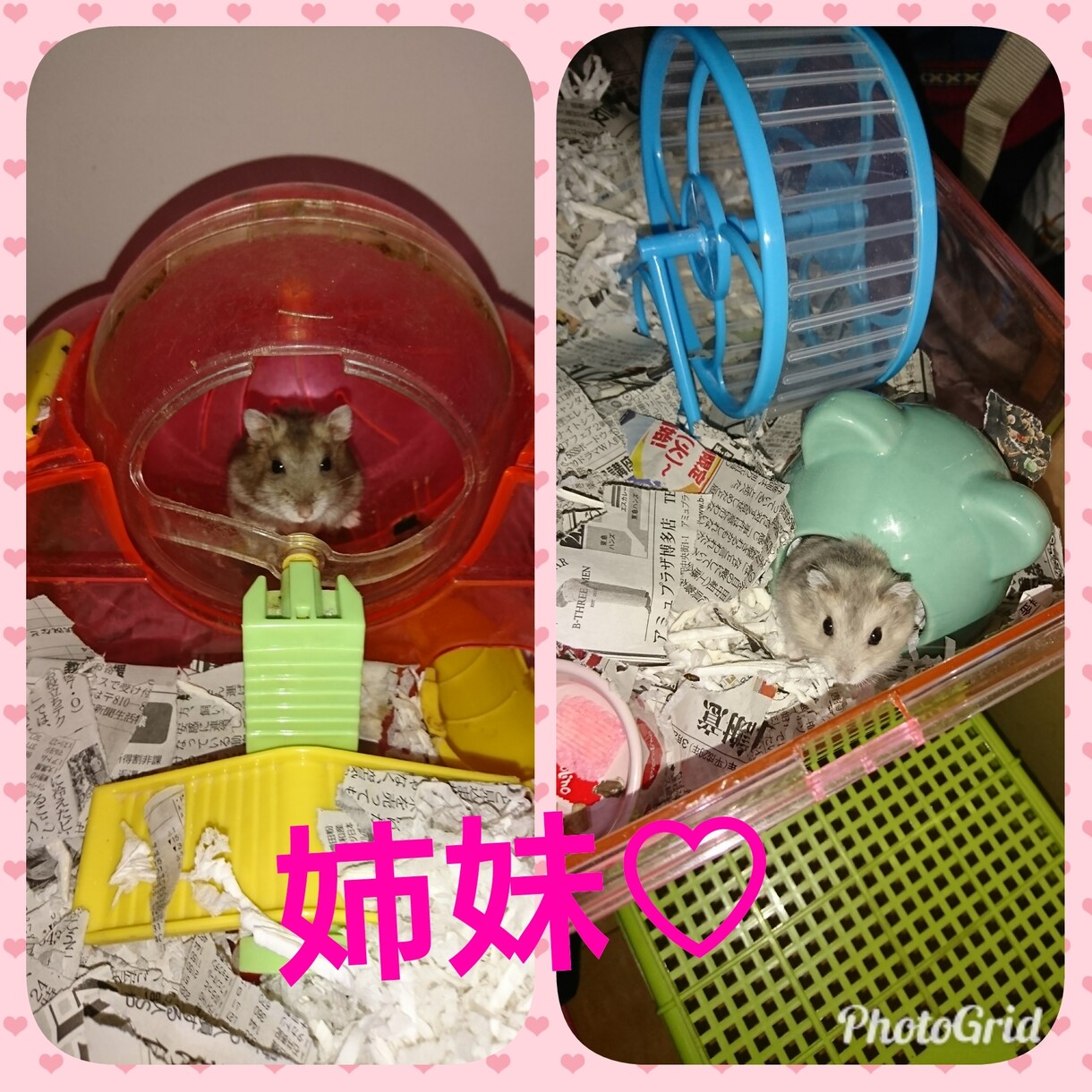就学前のお子様の悩み解消アドバイスします 悩みを聞いてどう対処すればいいのかアドバイスが欲しいママ イメージ1