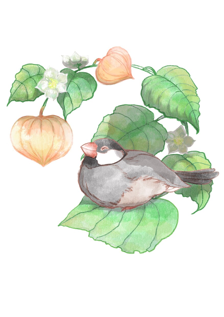 あなたのペットの（鳥限定）アイコンを作成いたします アイコンとヘッダーにいかがでしょうか イメージ2