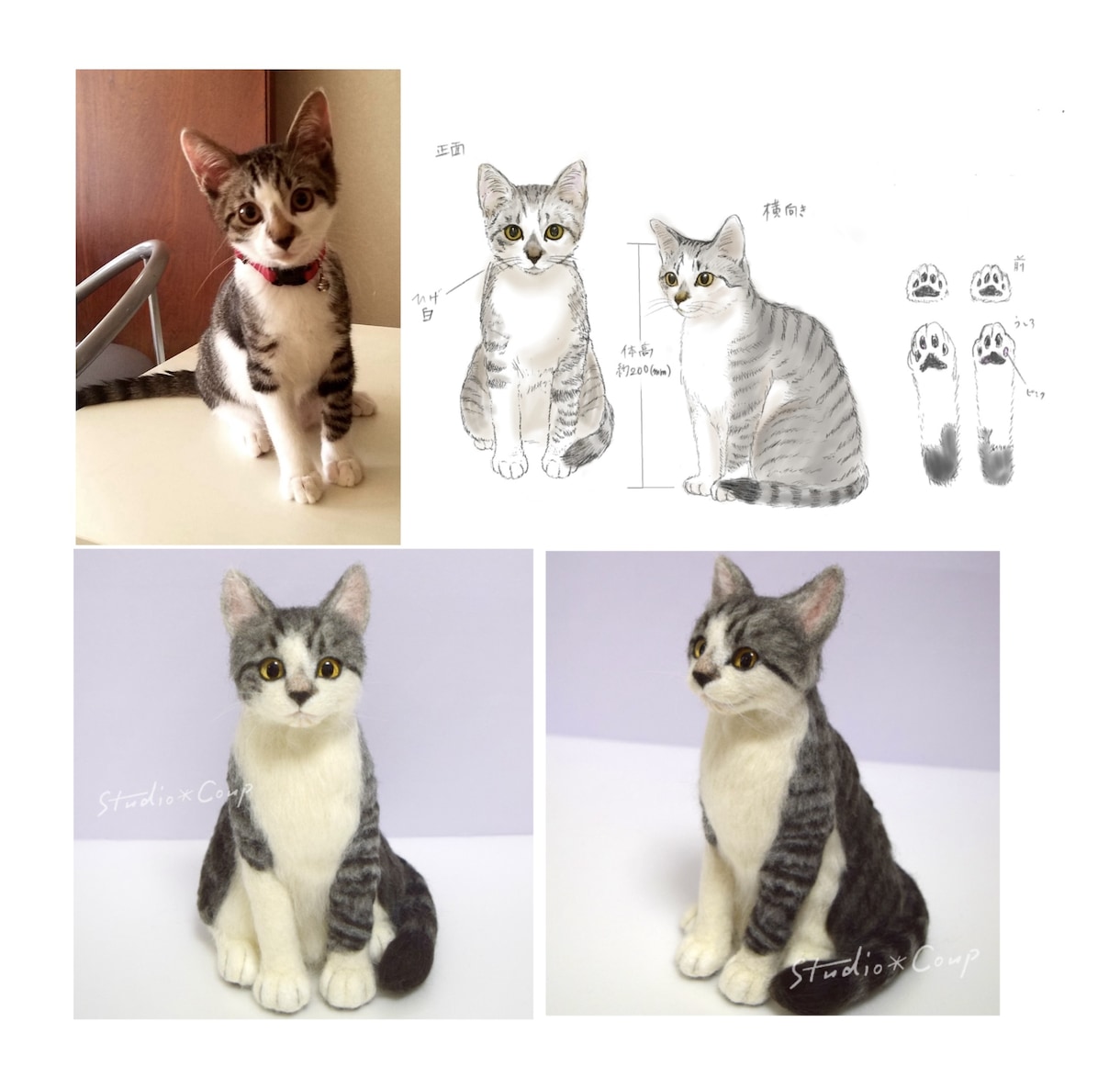 ペットのお写真から羊毛でリアルにお作りします お写真から大切なペットさんをリアルにお作りします イメージ9