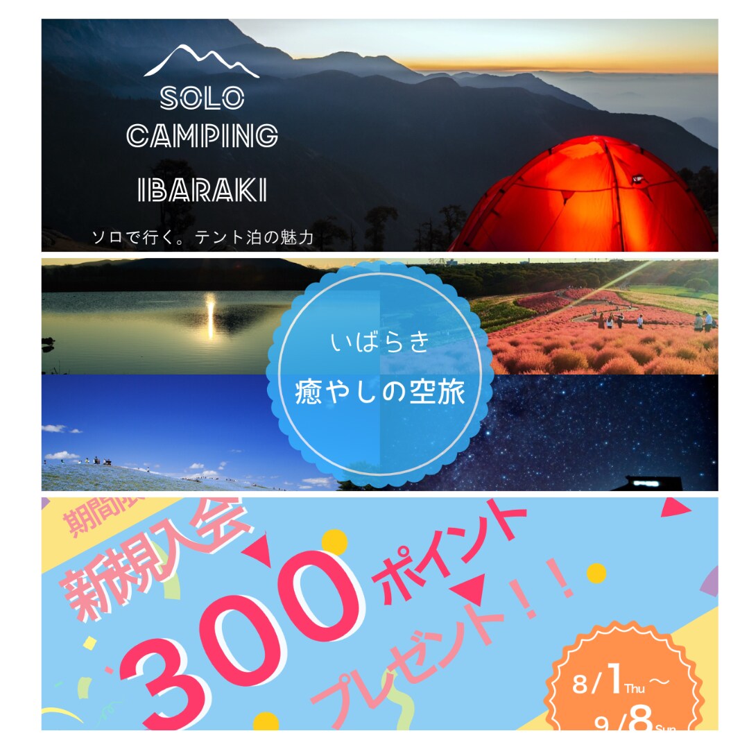 ０→１達成企画／web画像（バナー等）制作します 【最安値】【誠実・丁寧】【スピーディ】 イメージ4