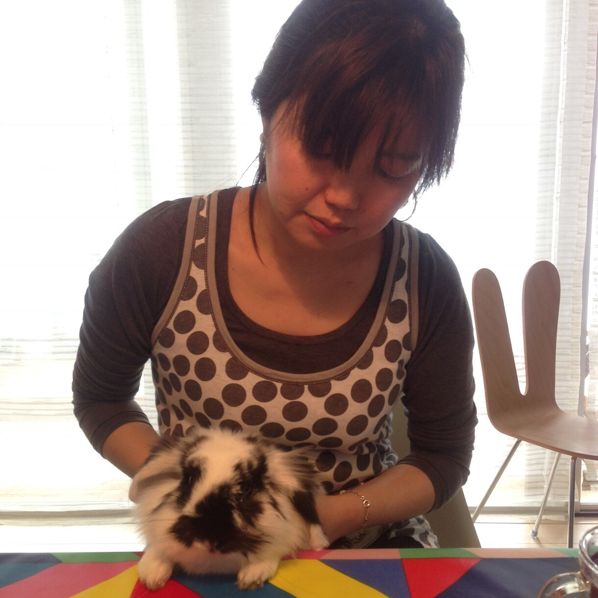 うさぎさんの飼い方アドバイスします うさぎ専門シッターがあなたの大切なうさぎさんのお悩み解決！ イメージ4