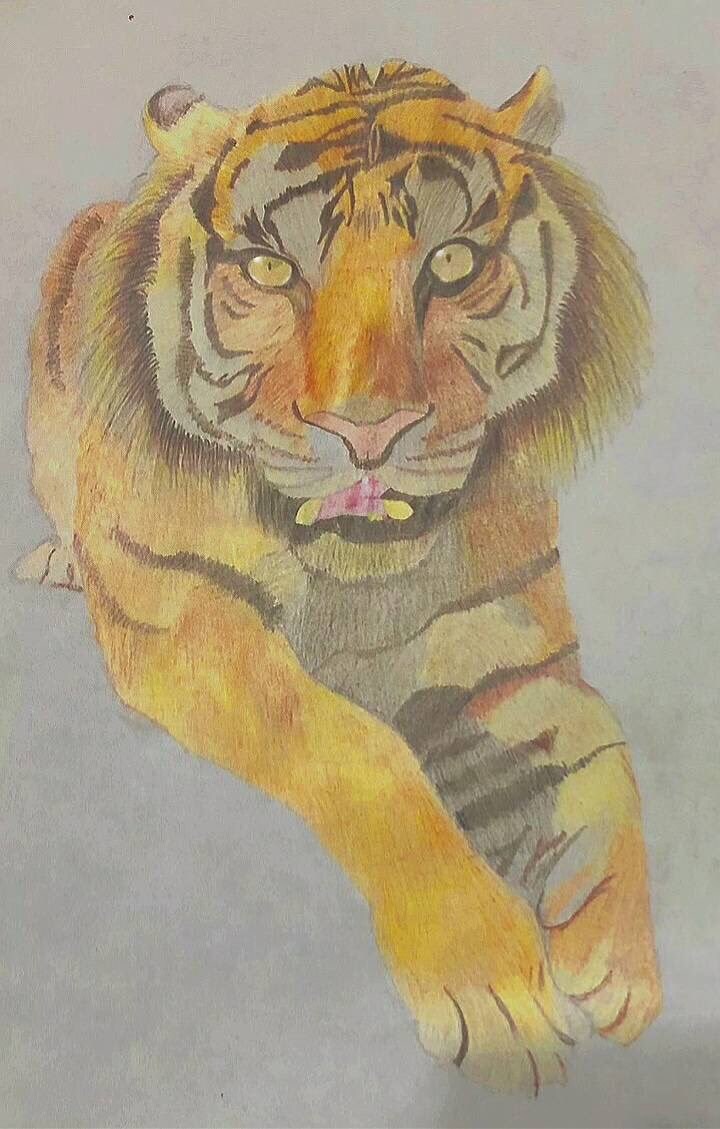 ペットや動物を色鉛筆でリアルに描きます ペットの思い出づくりにいかがですか？ イメージ3