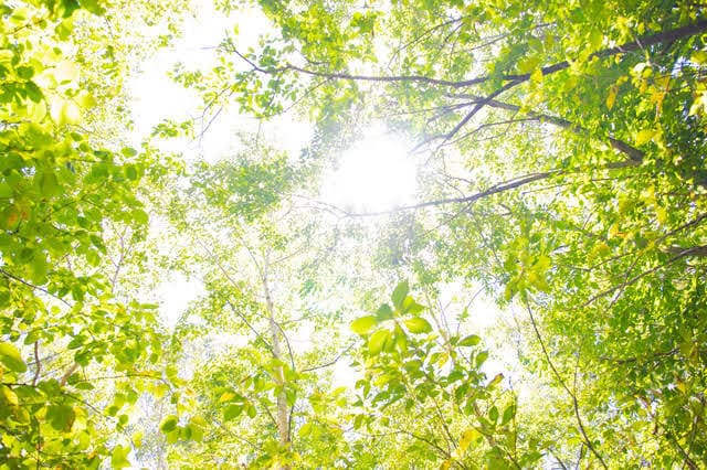 精神疾患に関する不安・疑問・お悩みを解消致します 精神科救急勤務歴10年の看護師です。何でもご相談ください。 イメージ5