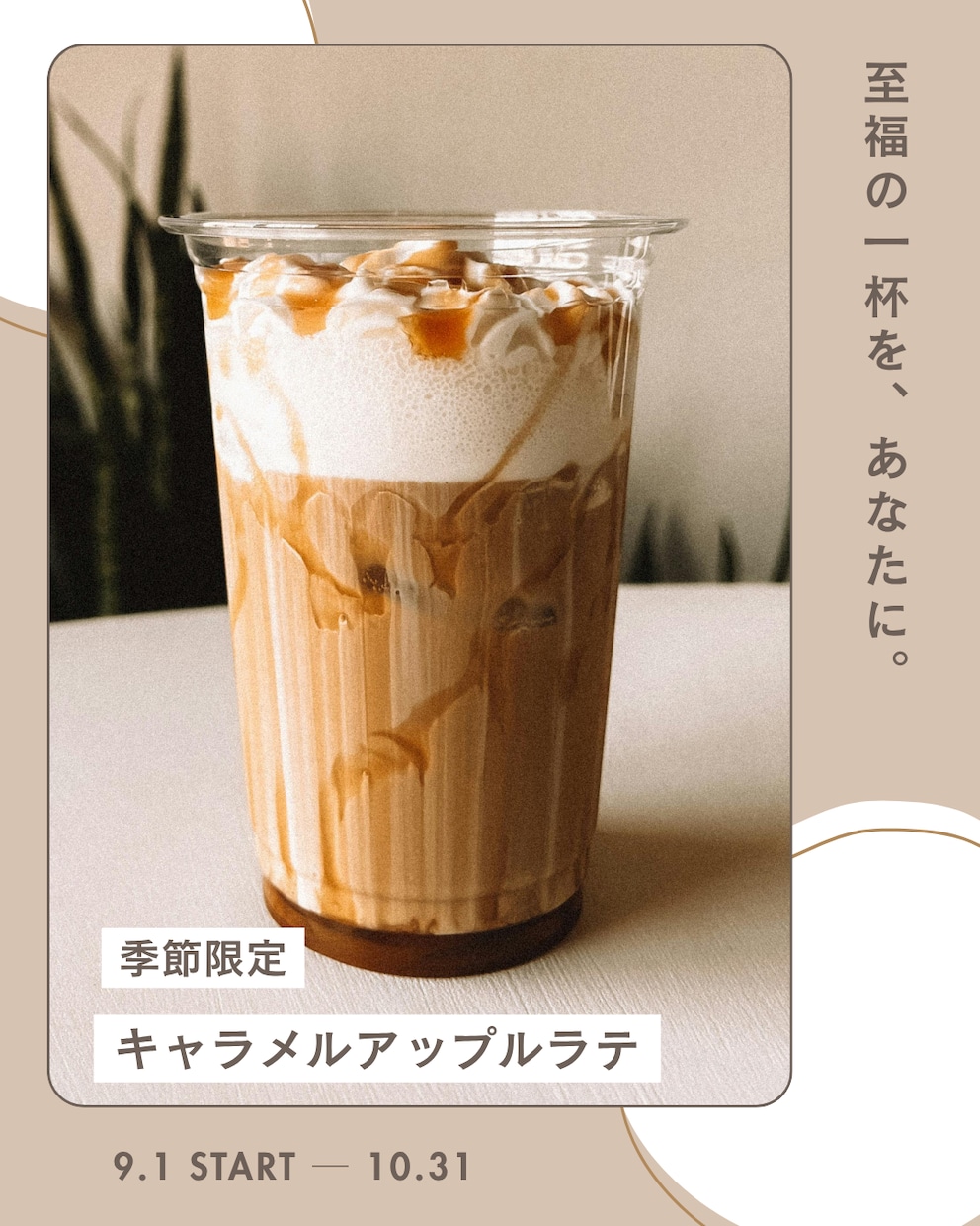 CanvaでSNS投稿画像を作成します Instagram投稿を見やすく丁寧にデザイン イメージ6