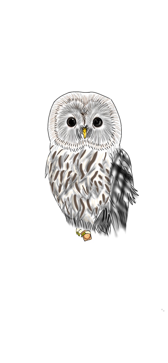 飼っているペットの絵を描きます ちょっとアニメっぽさのある絵や、逆にリアルな絵を描いたり イメージ4