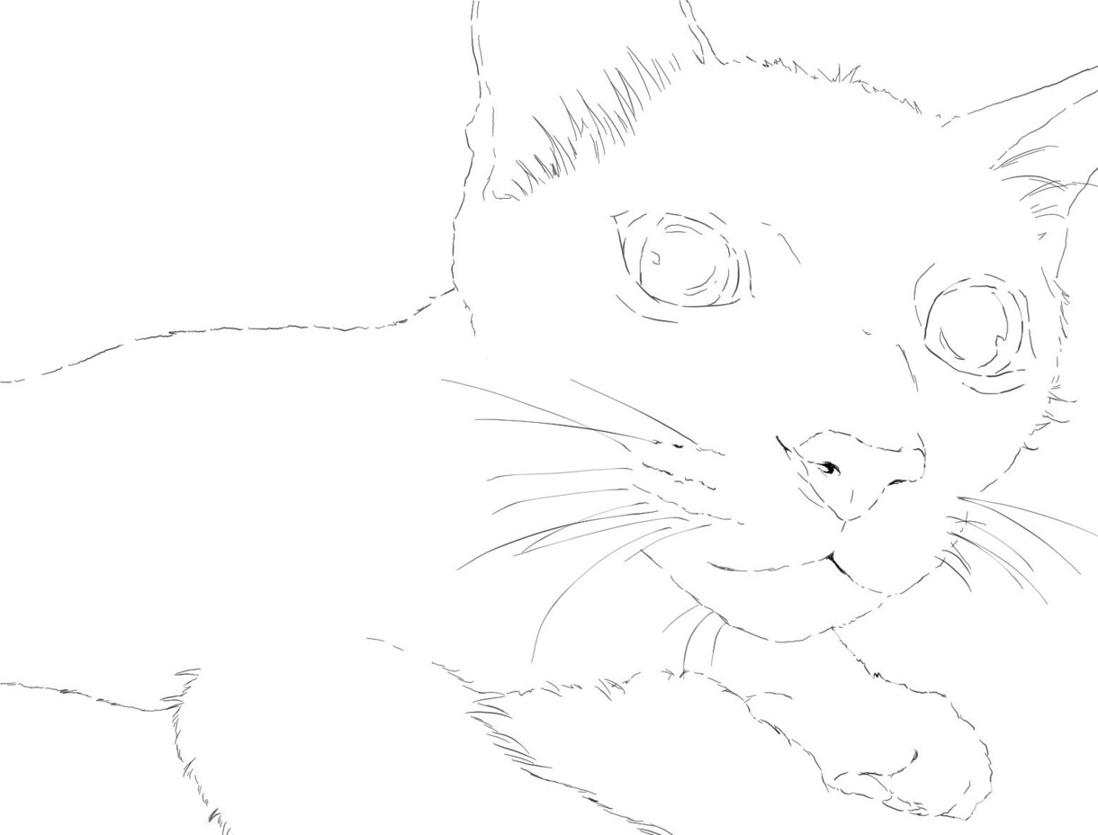 大切な写真をイラストにします 大切な人やペットの写真を温かみのあるイラストにします イメージ6