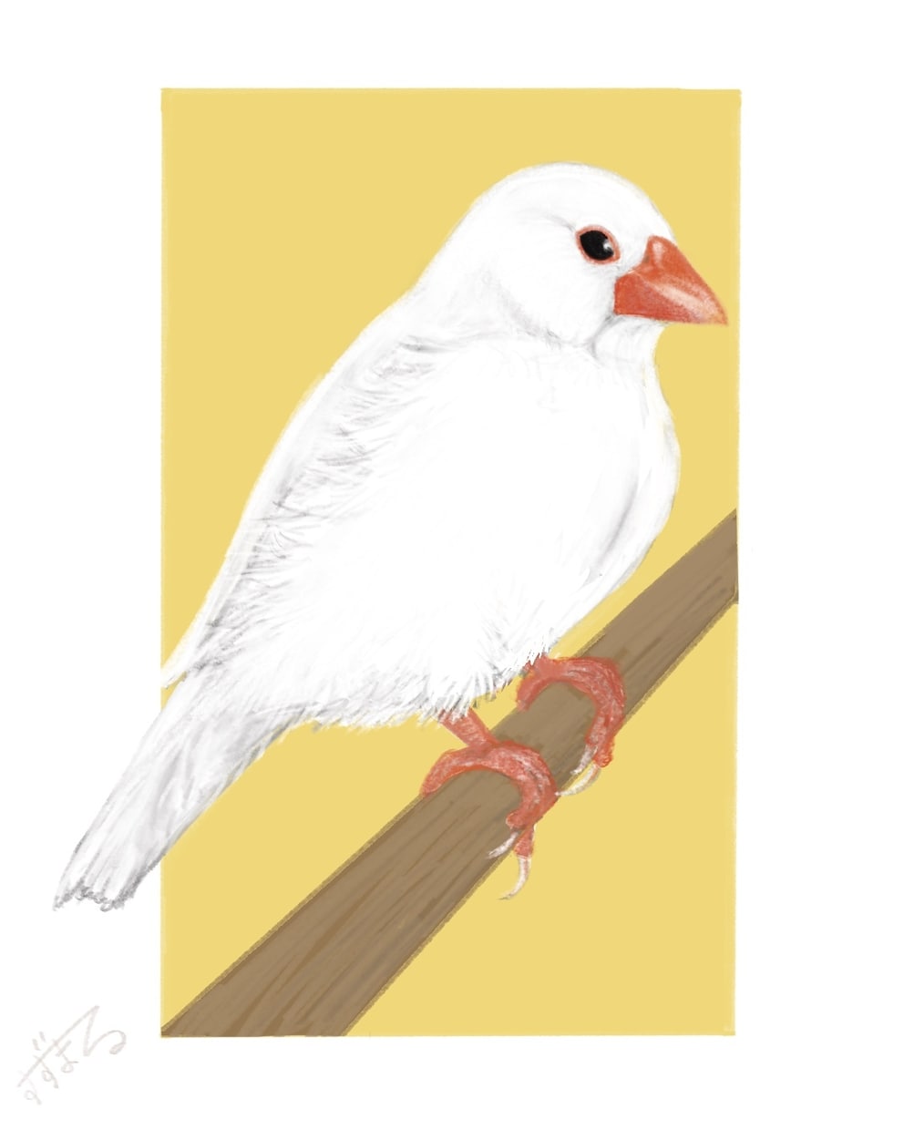 商用OK！鳥専門♪色鉛筆の風合いで可愛く描きます 柔らかなタッチと淡い色で癒しを♪心和む一枚を描きます♪ イメージ8