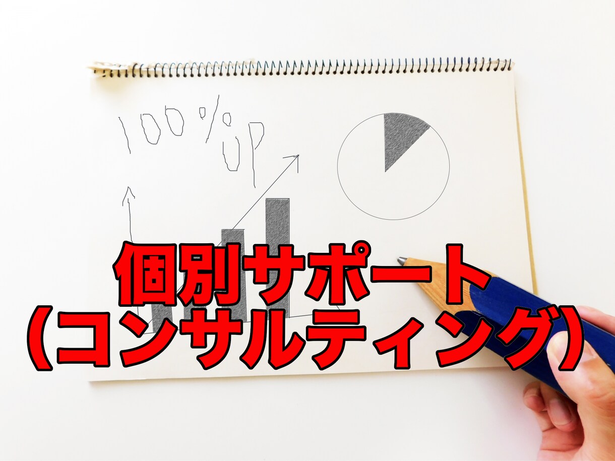 ご希望の方へ！個別サポート（コンサル）をします 継続的にサポート（コンサルティング）をご希望される方の為に イメージ1