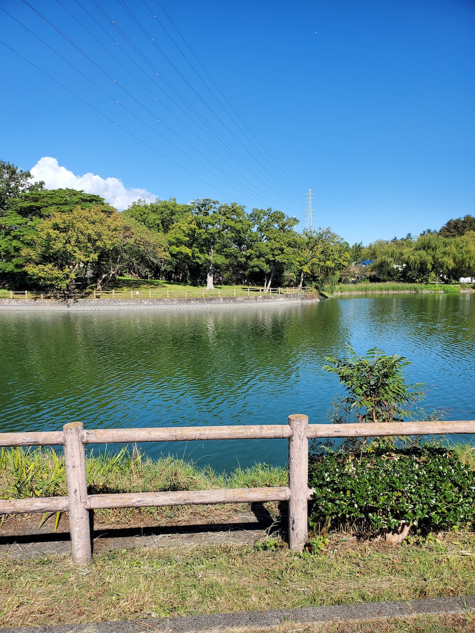 滝、池のある公園風景になります 五竜の滝、門池公園(２回目です) イメージ1
