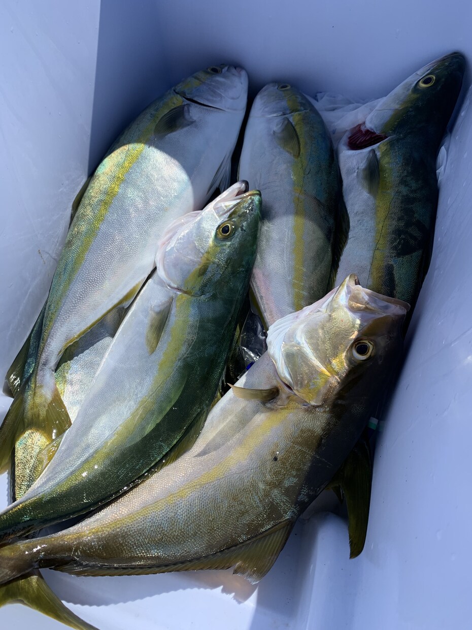 釣りデビューサポートします 道具の揃え方から釣り方まで丁寧にわかりやすくアドバイス イメージ1