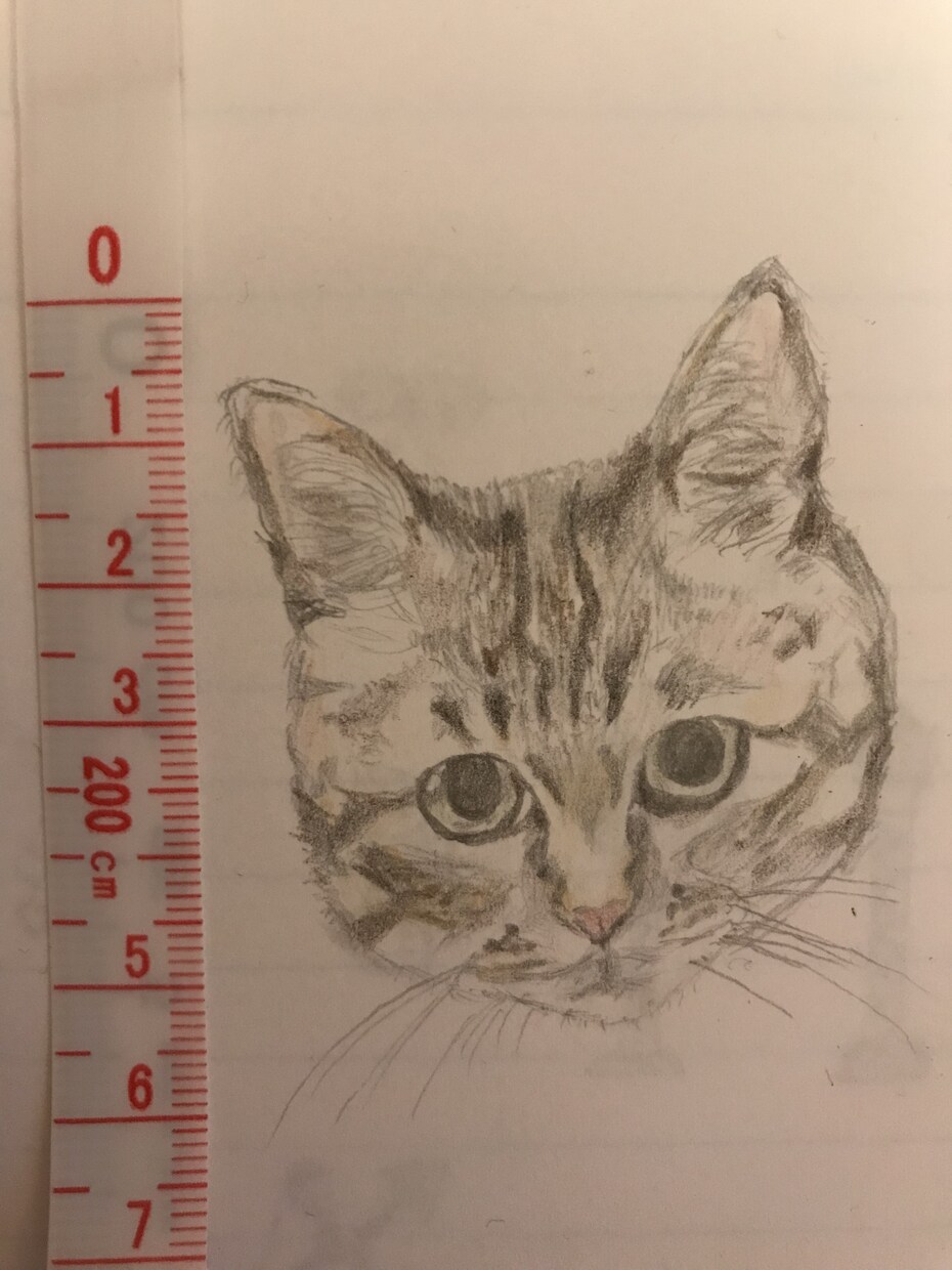 可愛いペット(犬、猫、なんでも)イラスト作成します 写真をお借りし、シャーペンで細かい所までリアルに描きます。 イメージ3