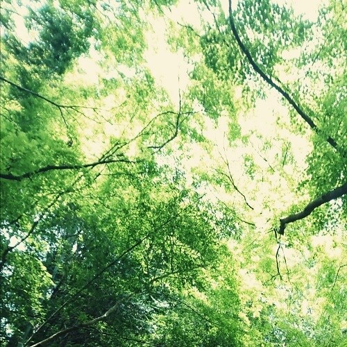 誰かに聞いて欲しいこと、お聞きします トークルームで２日間、お気持ちに寄り添います☆ イメージ2